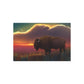 Bison Summer Sunset Oil on Metal Art (Print)  36x24