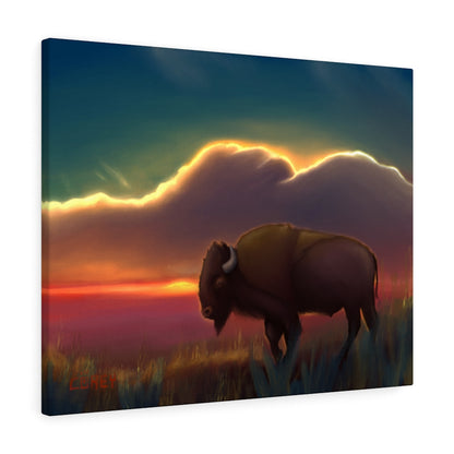 Bison Summer Sunset Canvas 30 x 24 x 1.25