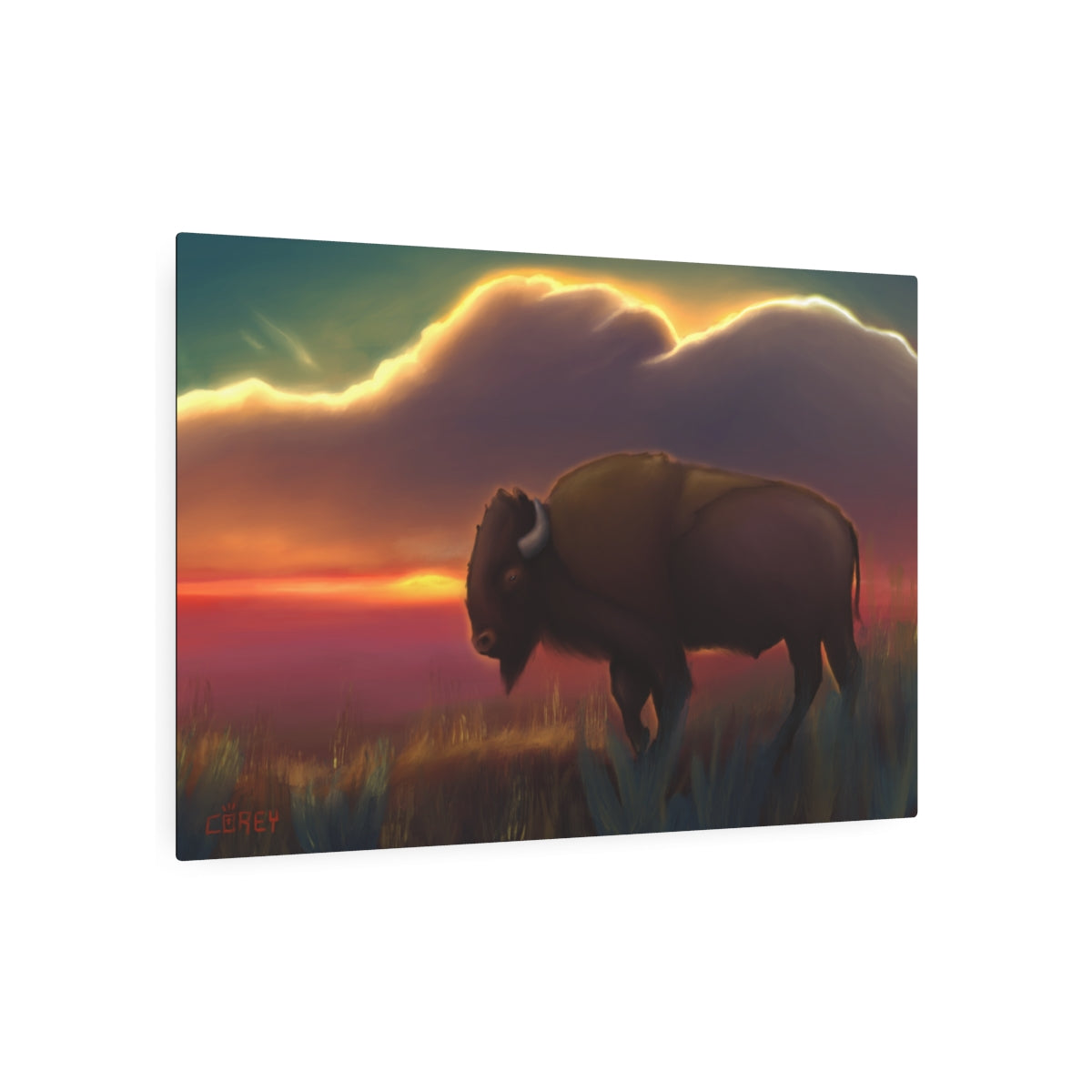 Bison Summer Sunset Oil on Metal Art (Print)  36x24